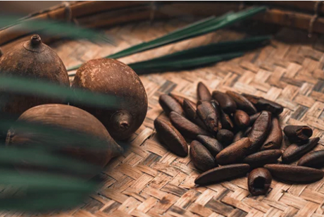 Babassu Oil Beard Oil